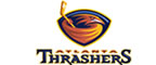 Book a Galleria Limo to the NHL Atlanta Thrashers game